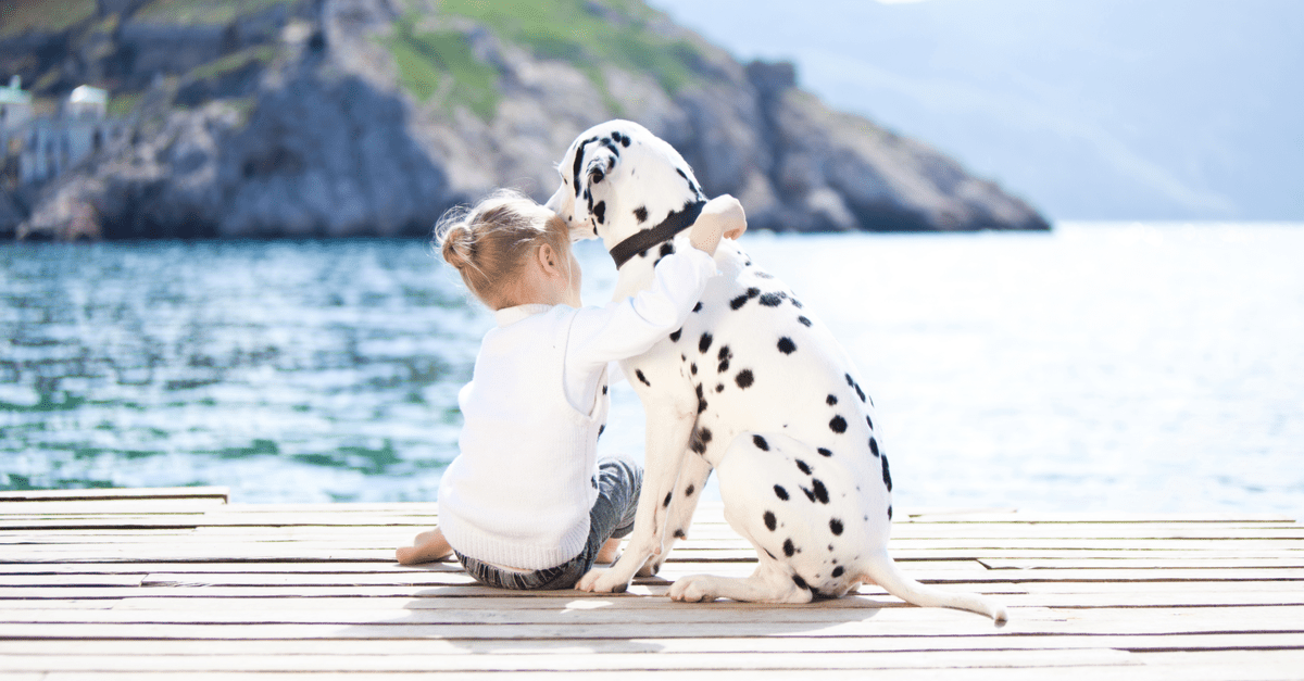 dalmatian dog and child in croatia