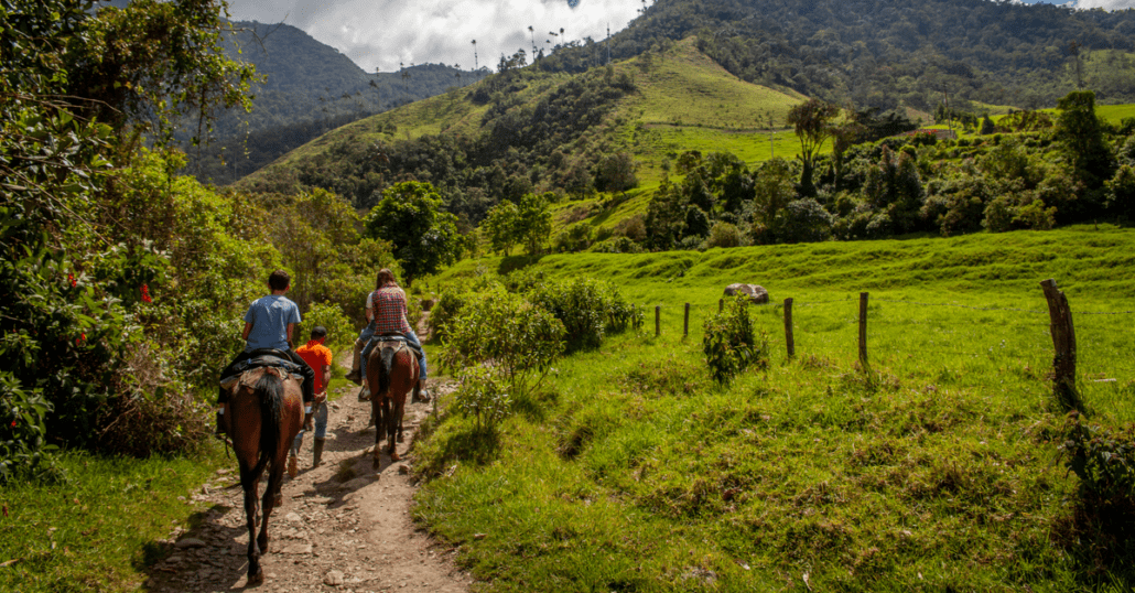 Two people riding horses on a forested hill in Colombia.