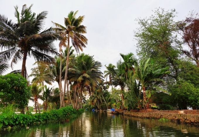 The Allepey canal, in India, lined with palm trees.