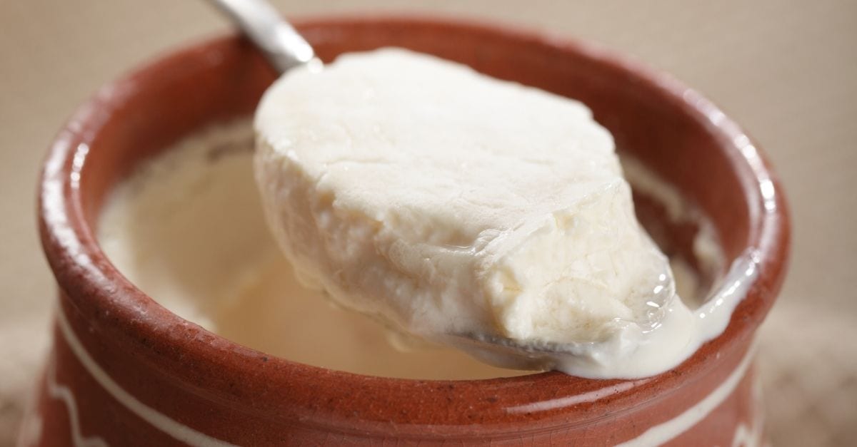A spoon of baked milk, a traditional Russian drink.