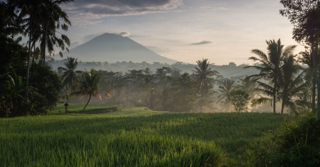 Bali's rice paddies and verdant nature with the Mount Batur on the backdrop.