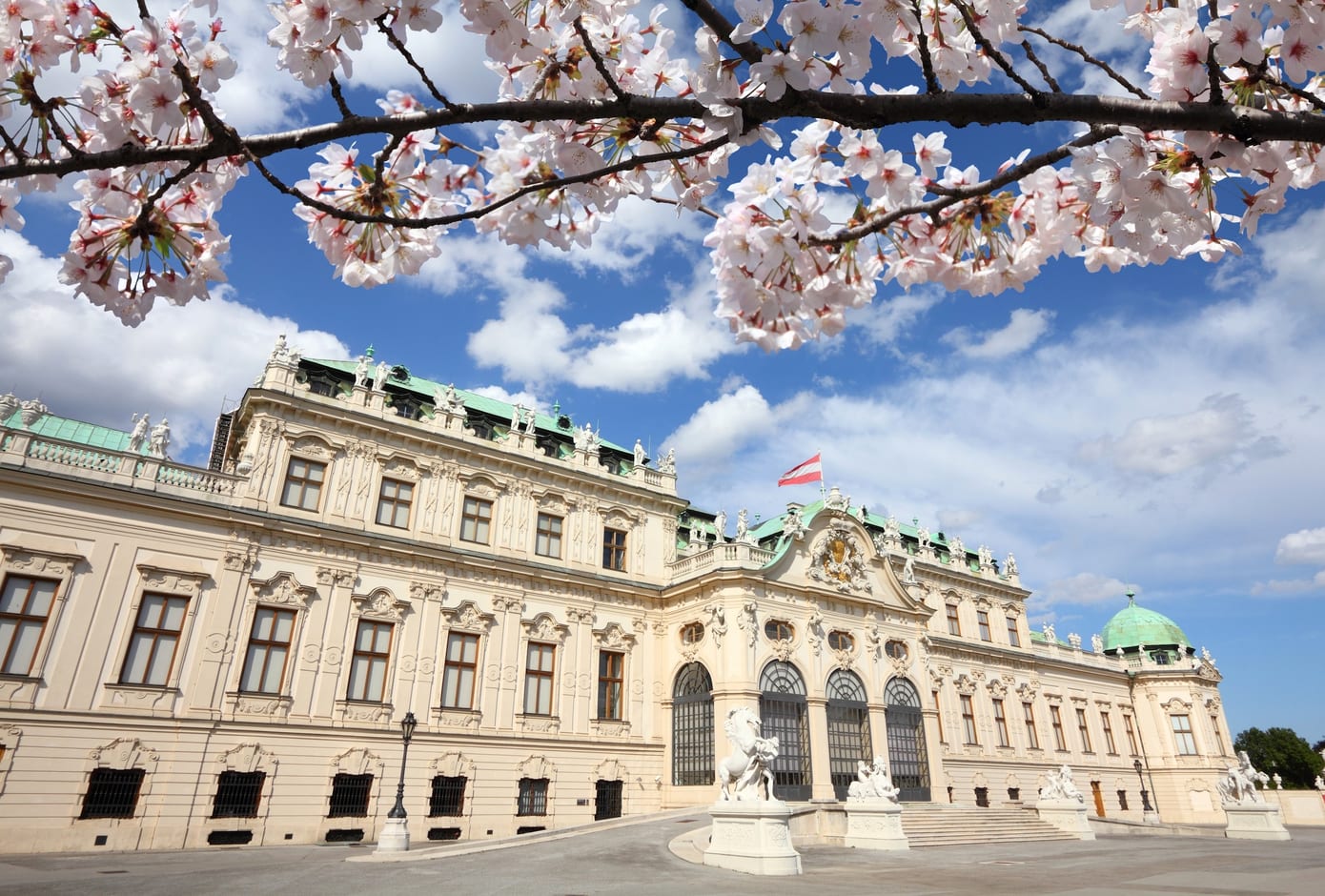 Cherry blossom tree and the Belvedere Palace in Vienna, Austria.

