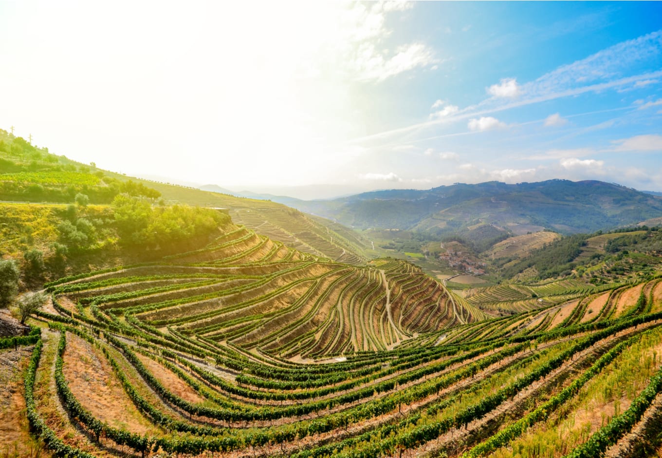 The Douro Valley, a pemium wine growing region in Portugal.