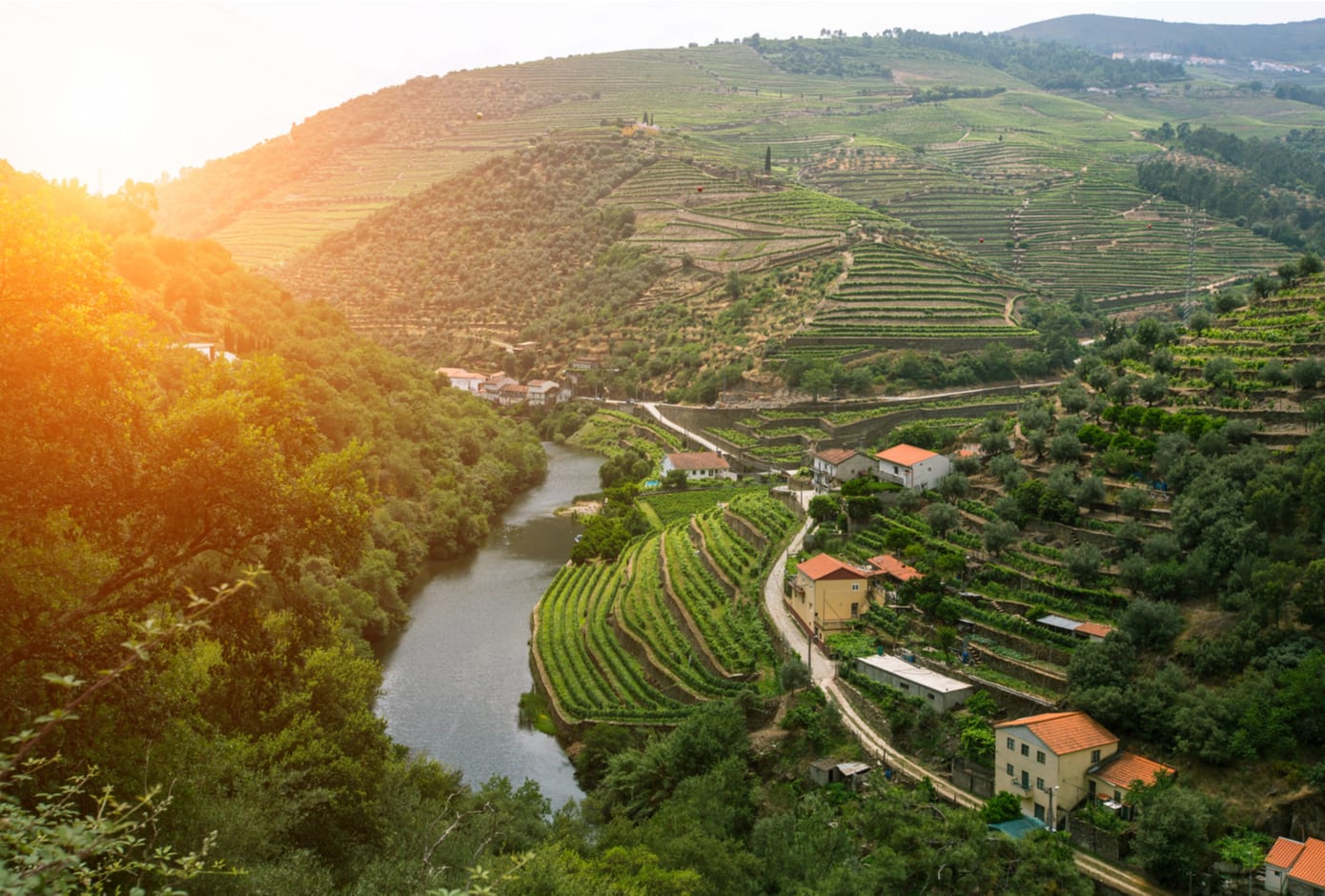 Aerial view of the Douro wine region, in Portugal