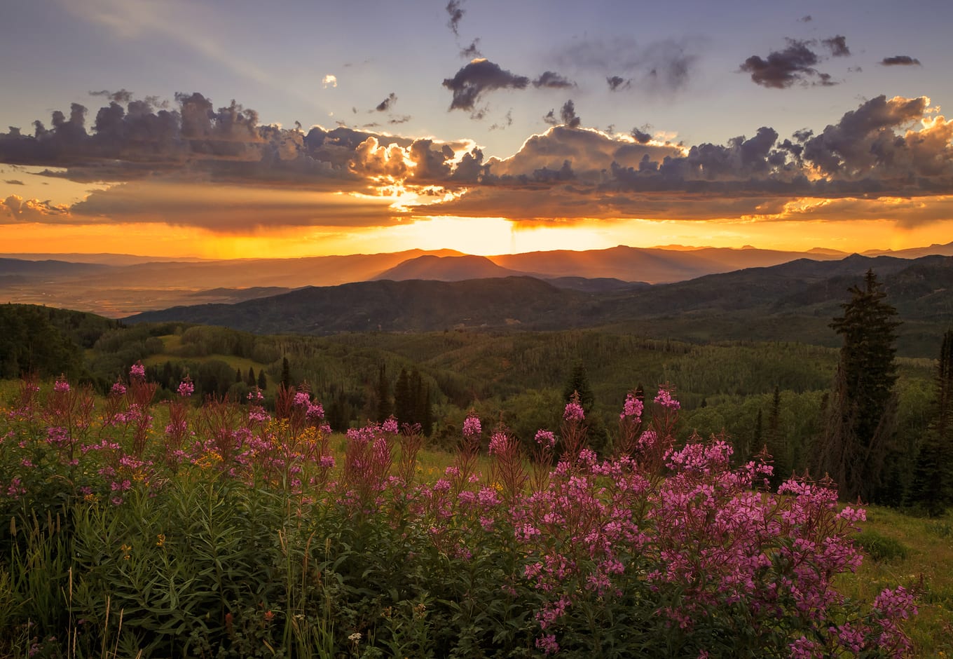 Top 10 things to do in steamboat springs colorado cuddlynest travel blog