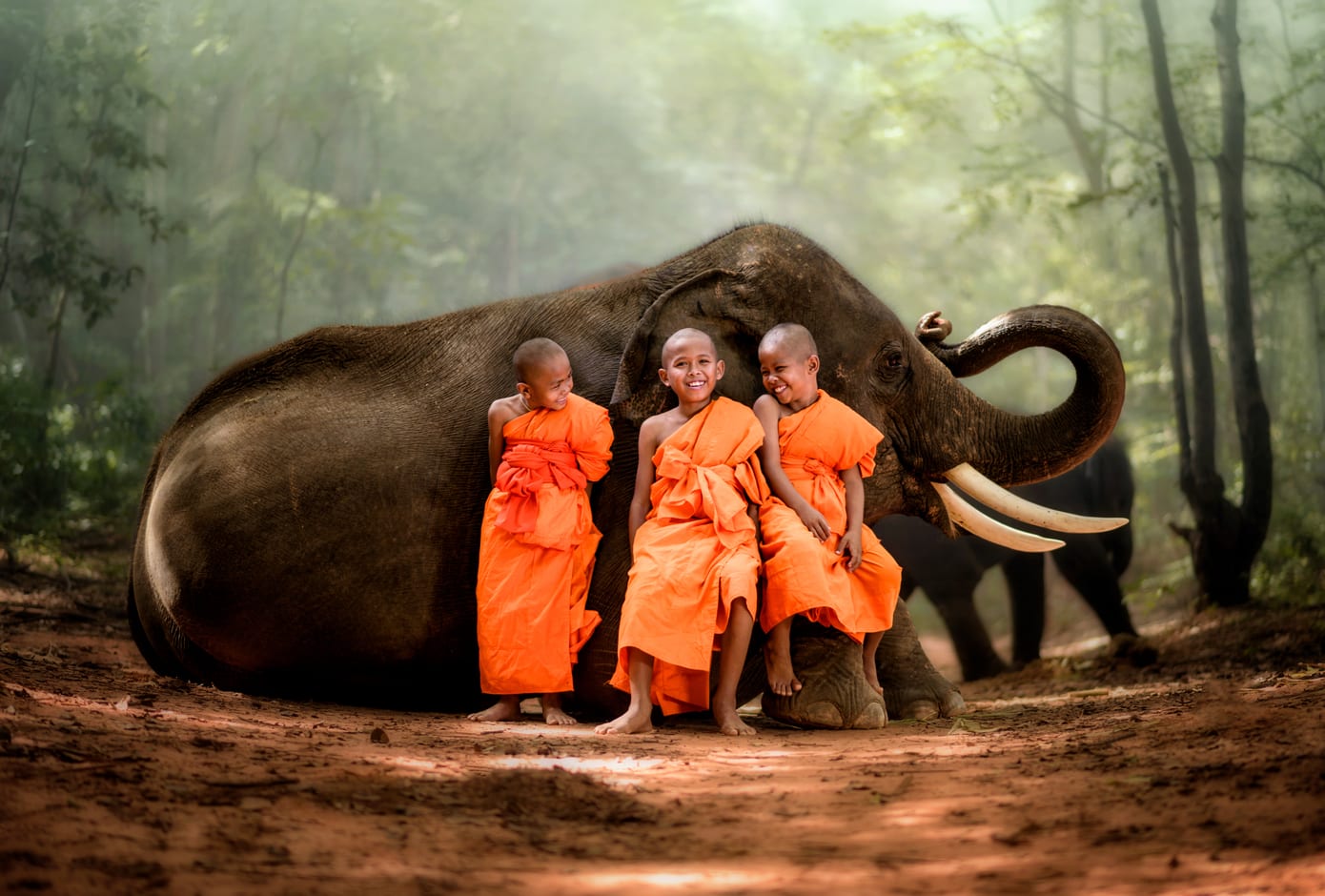 Three child Thai monks dressed in an orange robe, smiling while posing in front of an elephant.