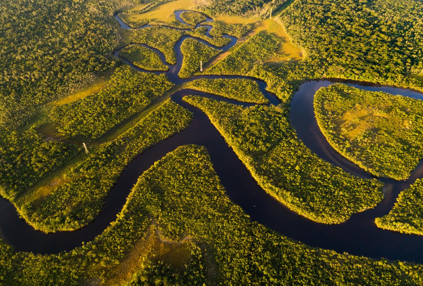 Aerial view of the Amazon Rainforest, in Brazil.