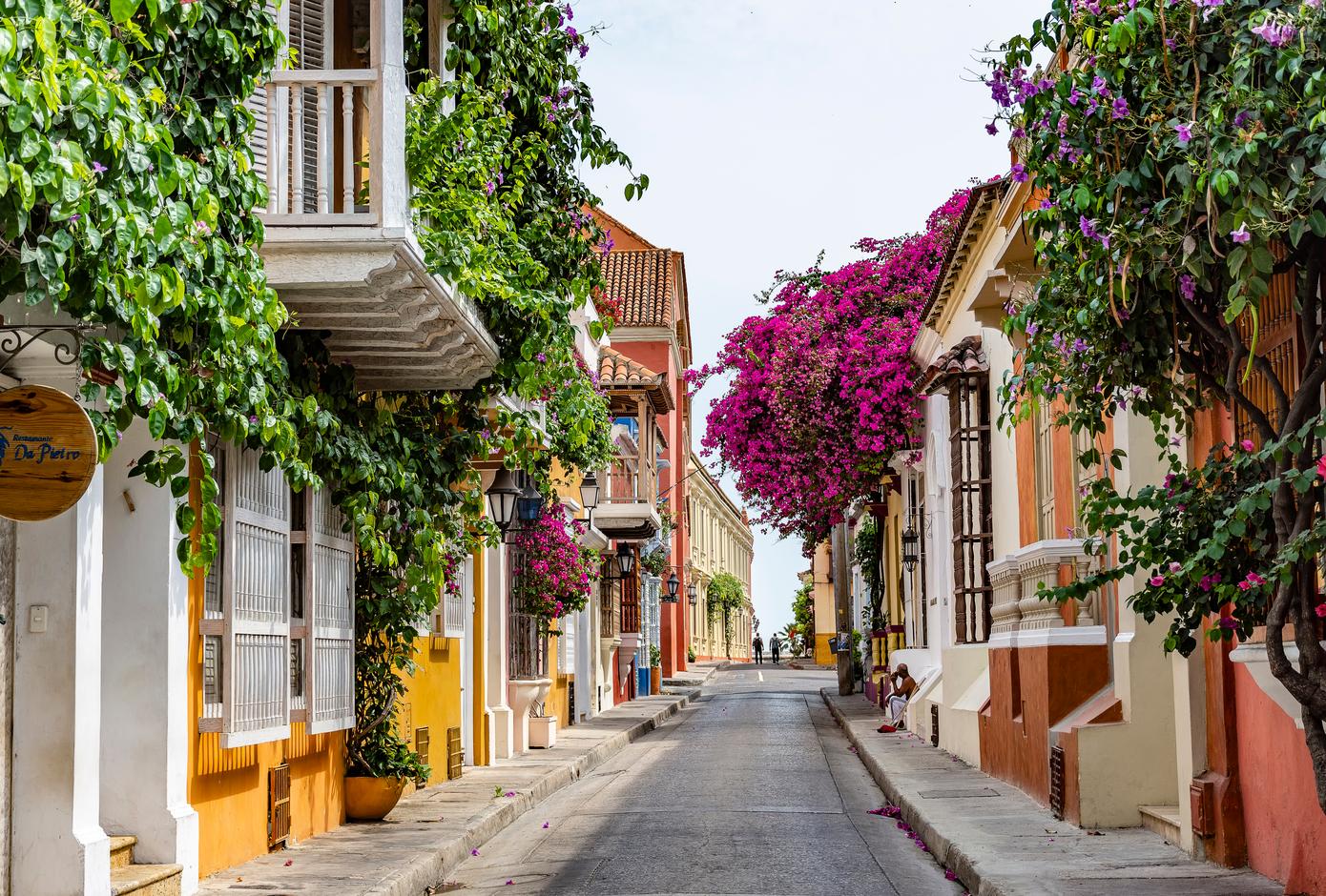 A street lined with colorful houses decorated with cascading bougainvilleas in Cartagena, Colombia.