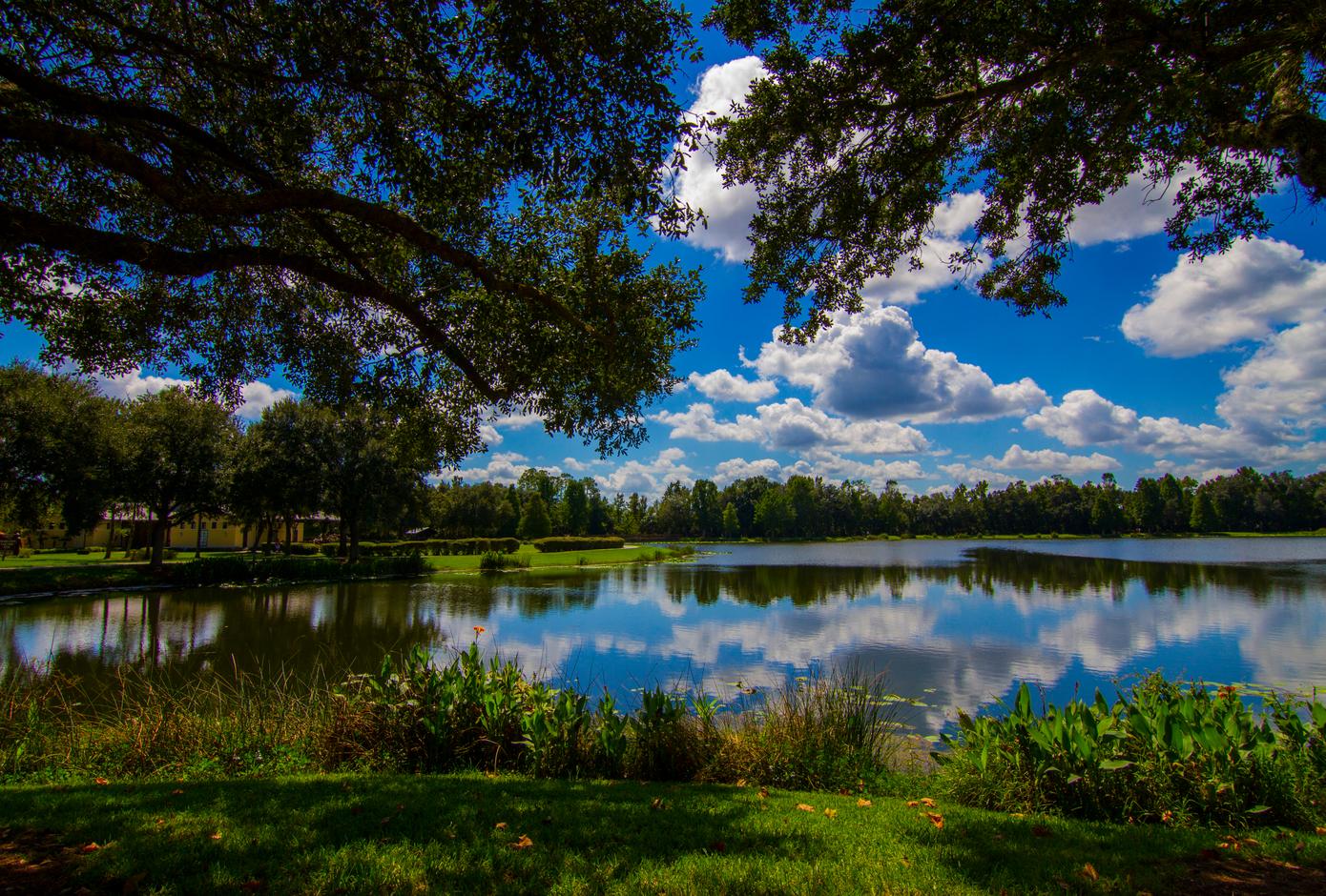 Lake in Orlando, Florida.