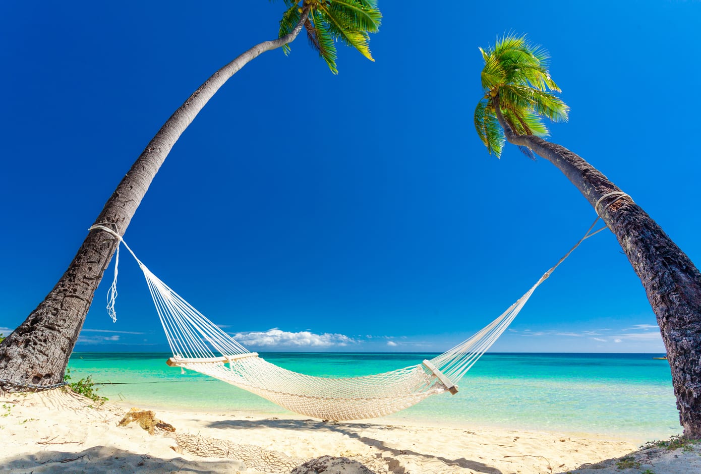 Empty hammock in the shade of palm trees on Fiji Islands
