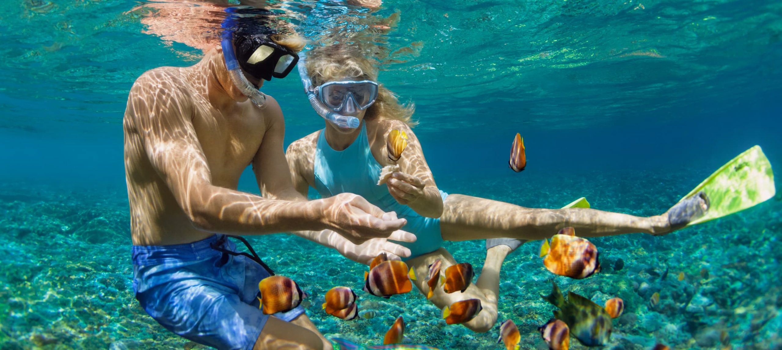 Young couple in snorkeling mask hold hand, dive underwater with fishes in coral reef sea pool.