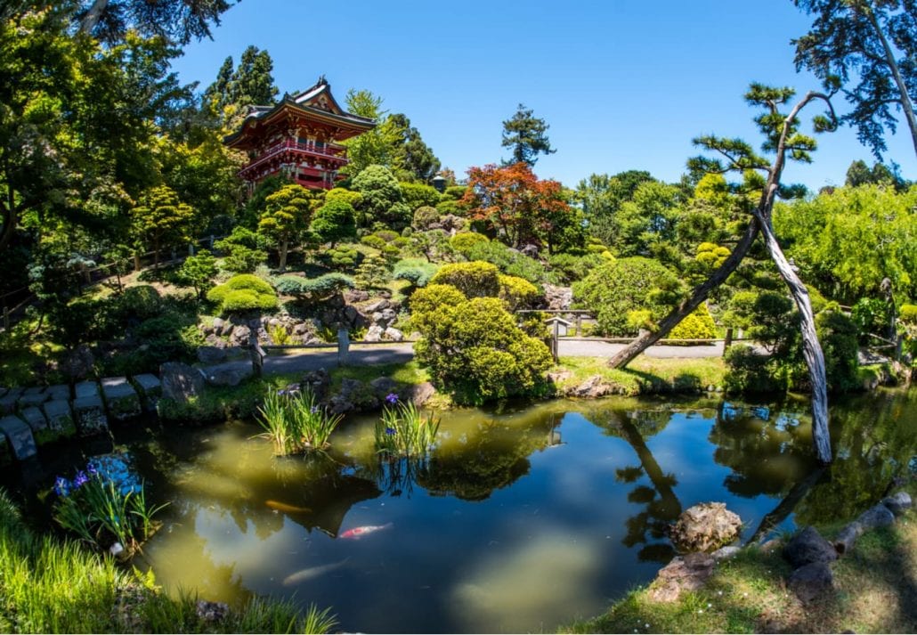 Japanese garden at golden gate park, San Francisco, California