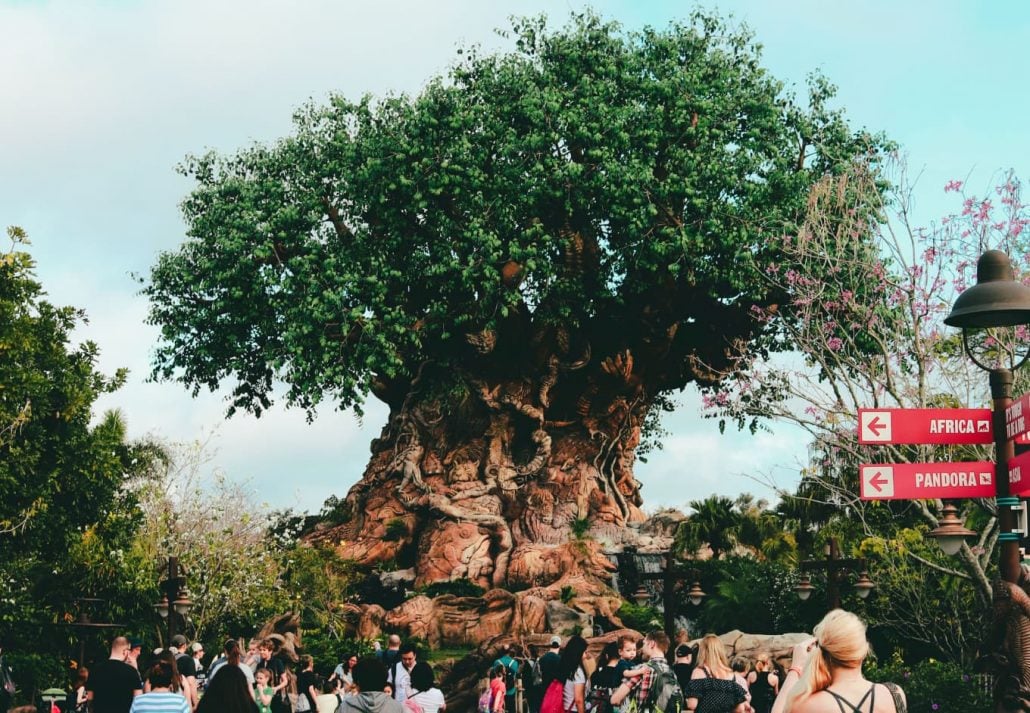 The tree of life at Disney's Animal Kingdom.