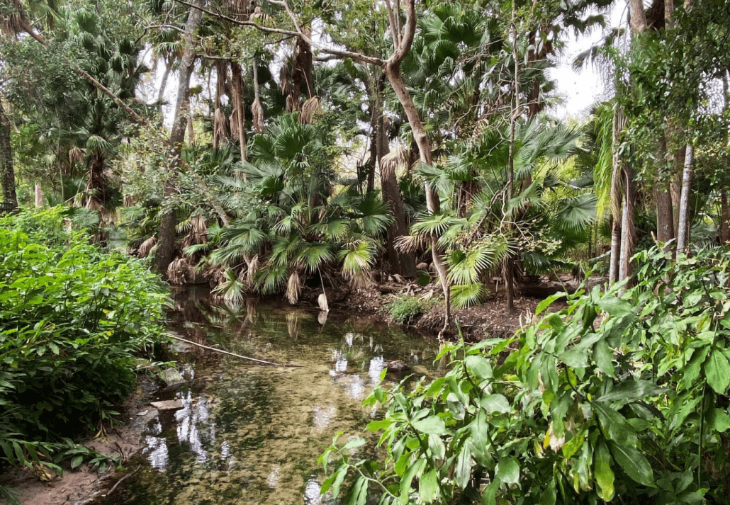 Mead Botanical Garden, Orlando, Florida