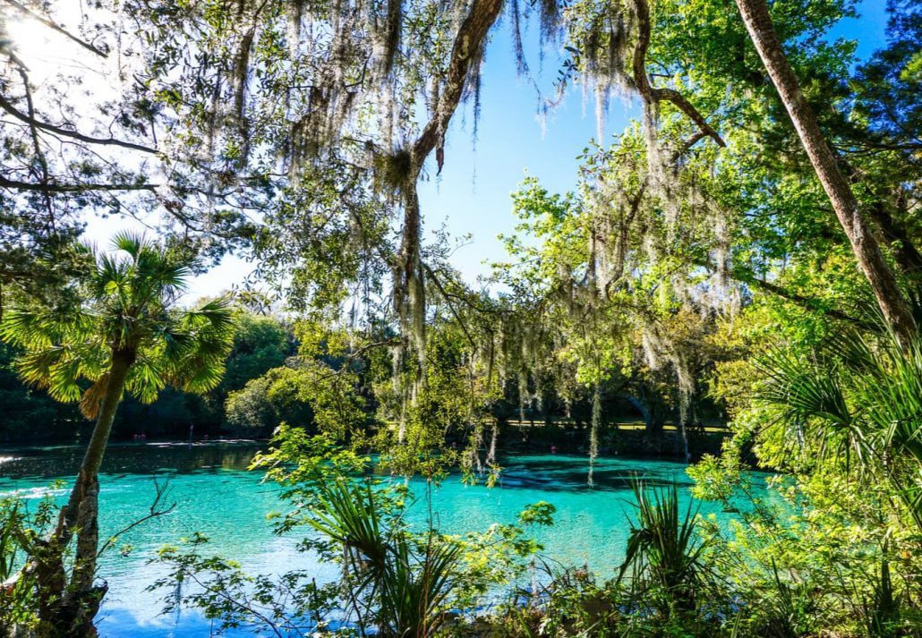 Breathtaking Silver Glen Springs in Florida