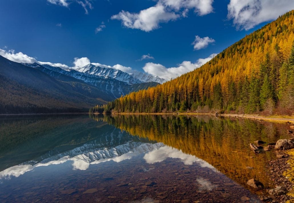 Flathead National Forest, Montana, USA.