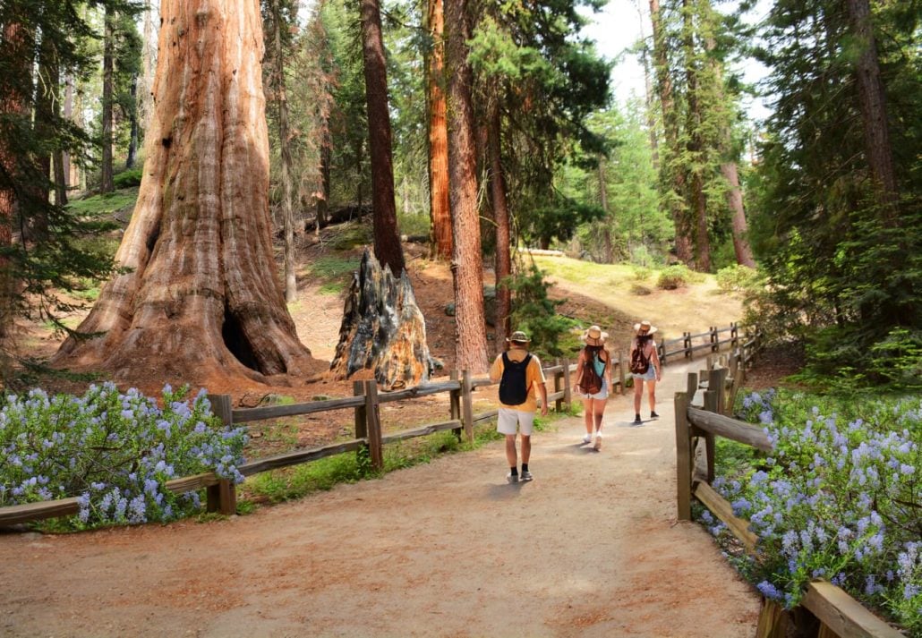 Sequoia and Kings Canyon National Park, California.