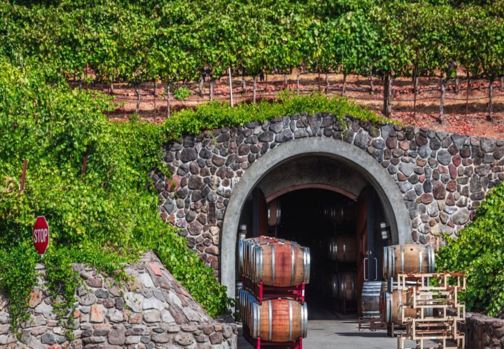 Wine barrels on a wine road in San Francisco