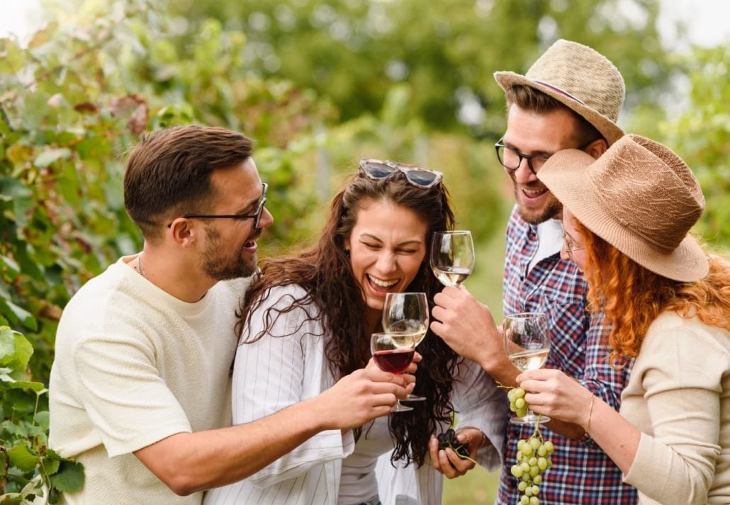 A group of friends having a drink in a vineyard