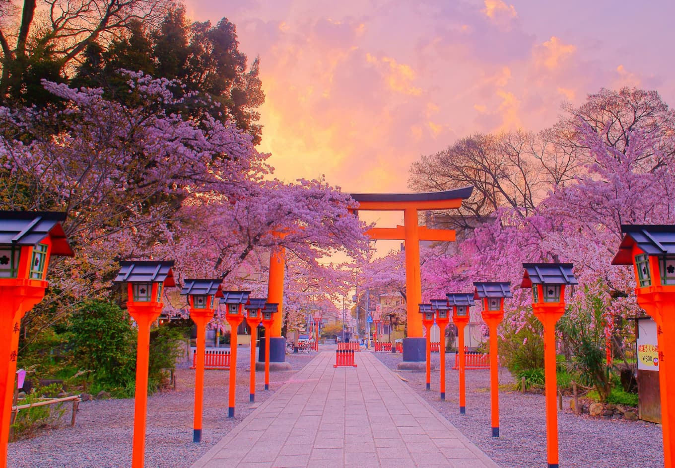 10 Best Places To See Cherry Blossoms in Kyoto CuddlyNest