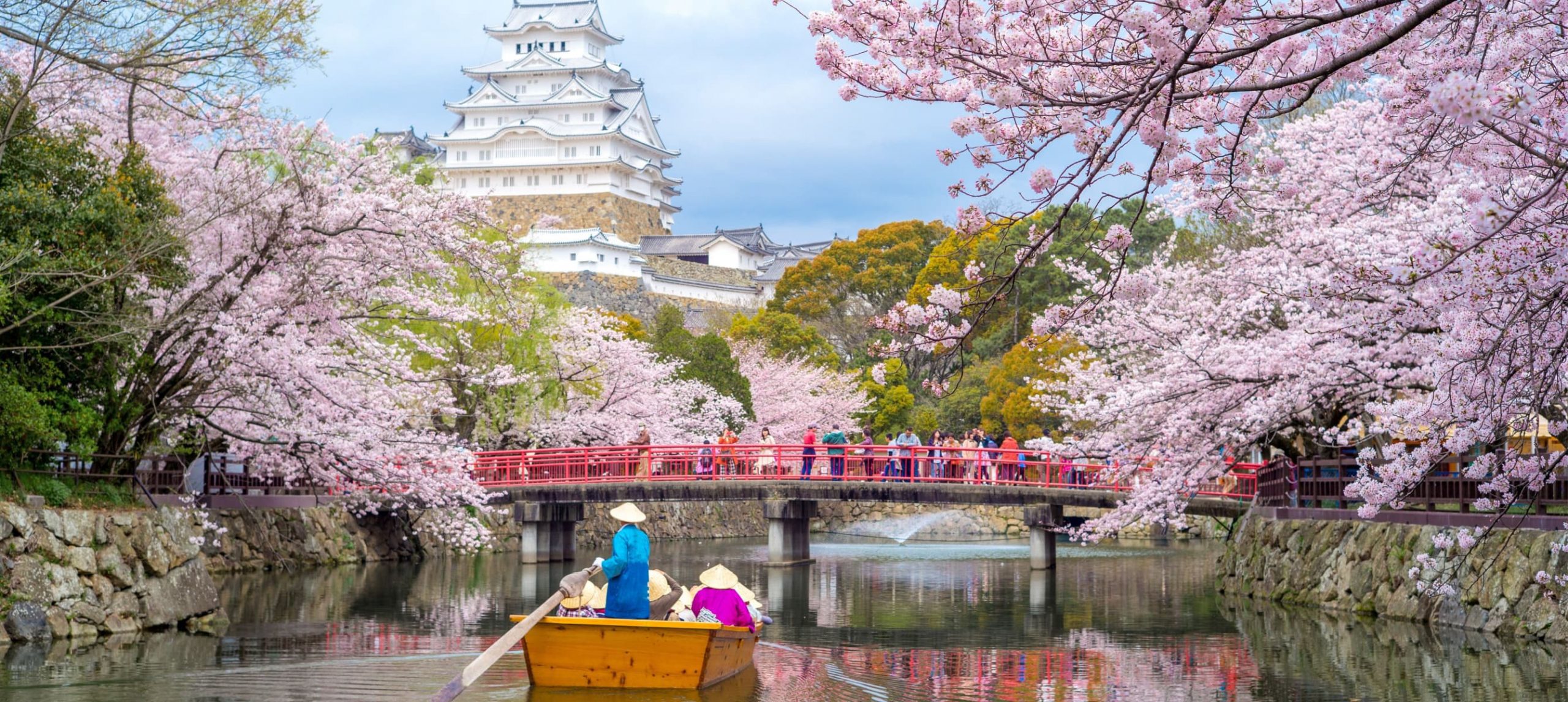 10 Best Places To See Cherry Blossoms In Kyoto CuddlyNest 10-best-places-to-see-cherry-blossoms-in-kyoto-cuddlynest