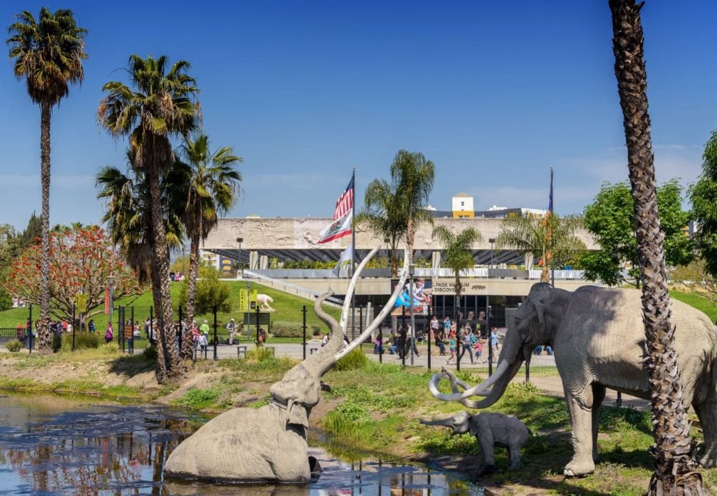 La Brea Tar Pits, in Los Angeles, California.