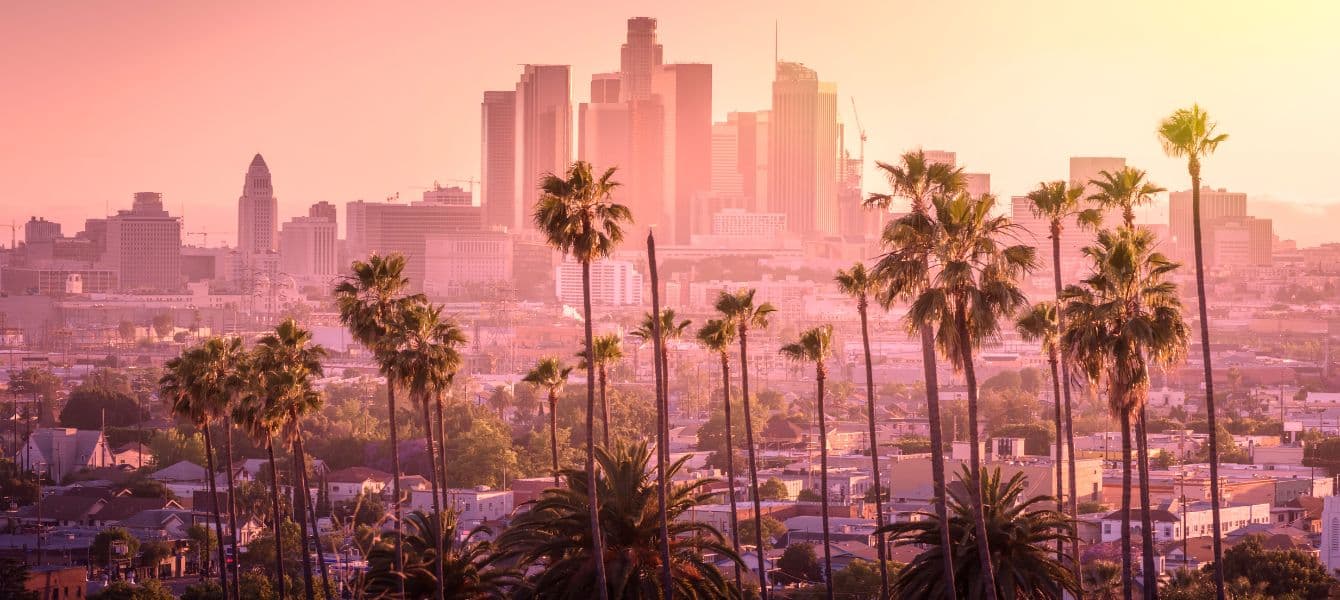 los angeles skyline with palm trees