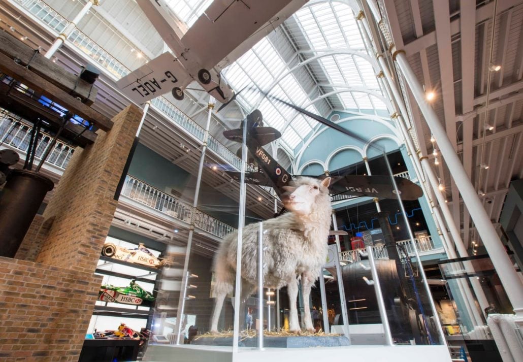 national museum of scotland dolly the sheep