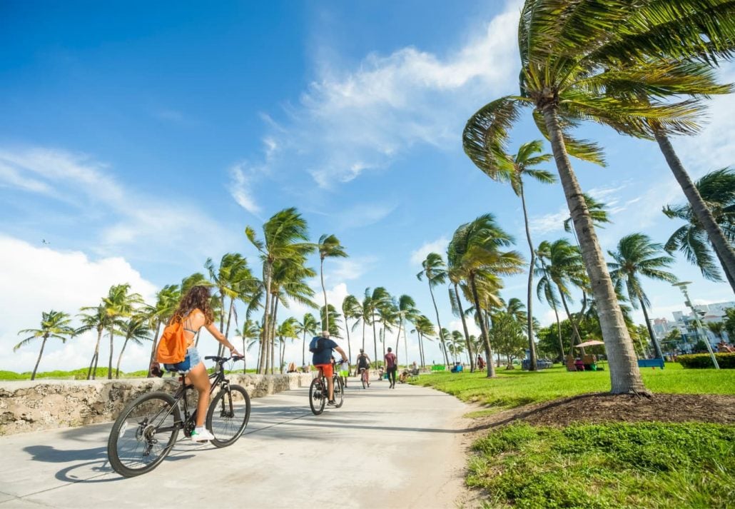 Two people biking on a promenade lined by palm trees in Miami, Florida.