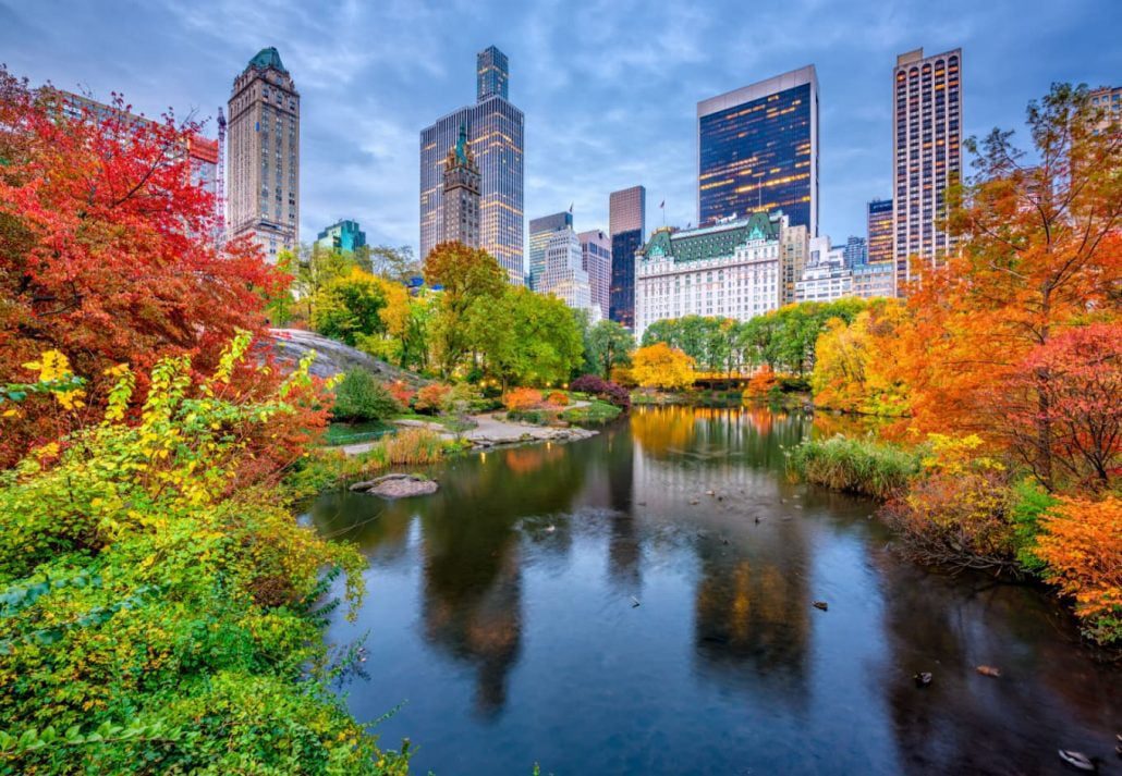 Trees covered in fall foliage in Central Park, NYC.