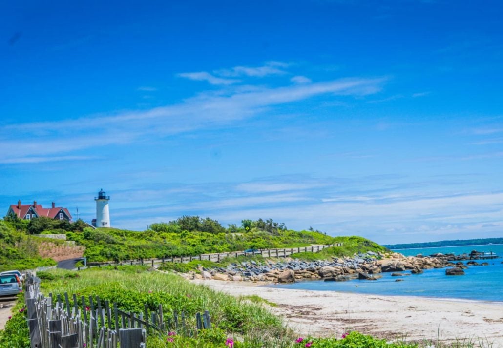 a beach with greenery and a lighthouse