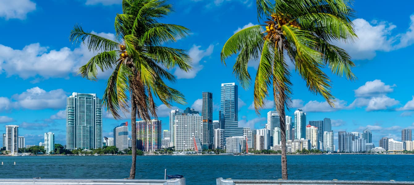 miami skyline with palm trees and beach