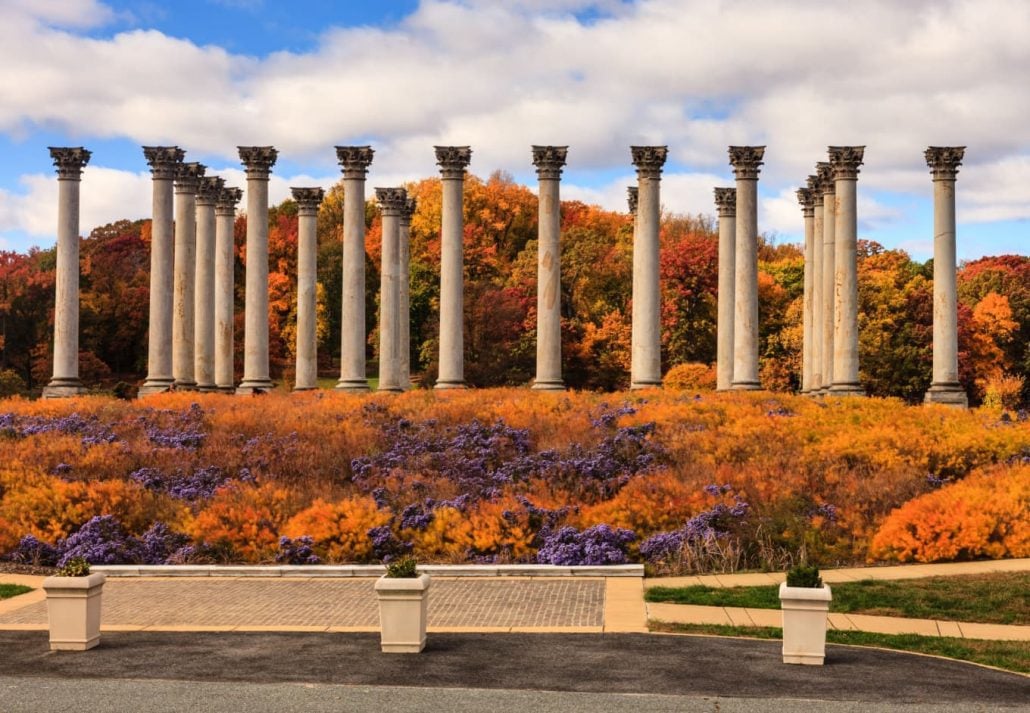 National Columns at National Arboretum