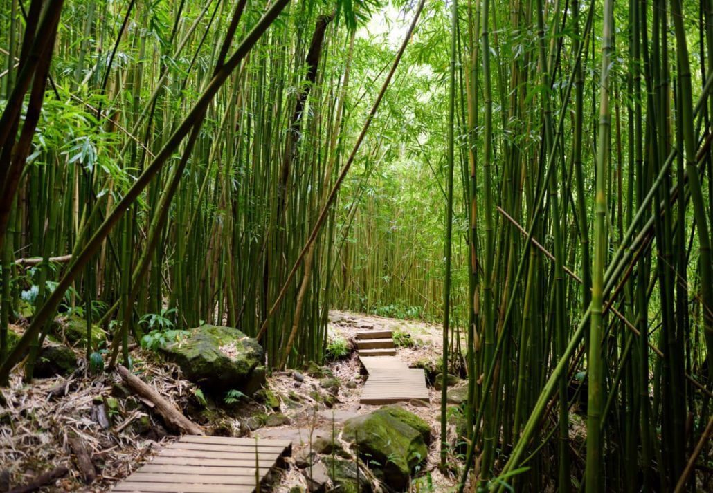 Pīpīwai Trail, Maui.