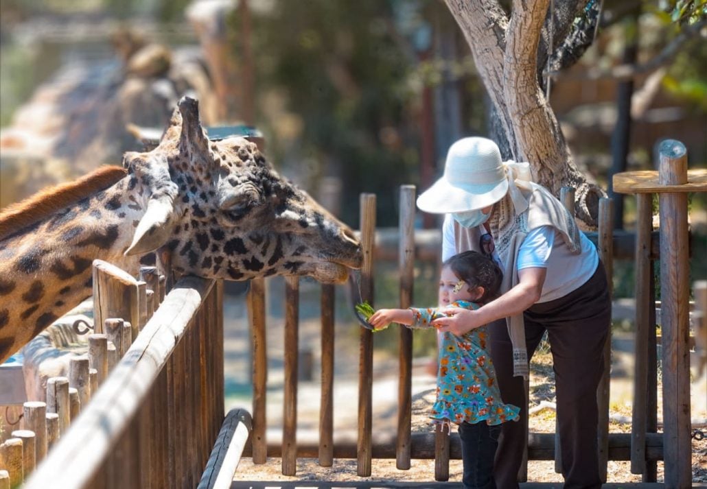  Santa Barbara Zoo