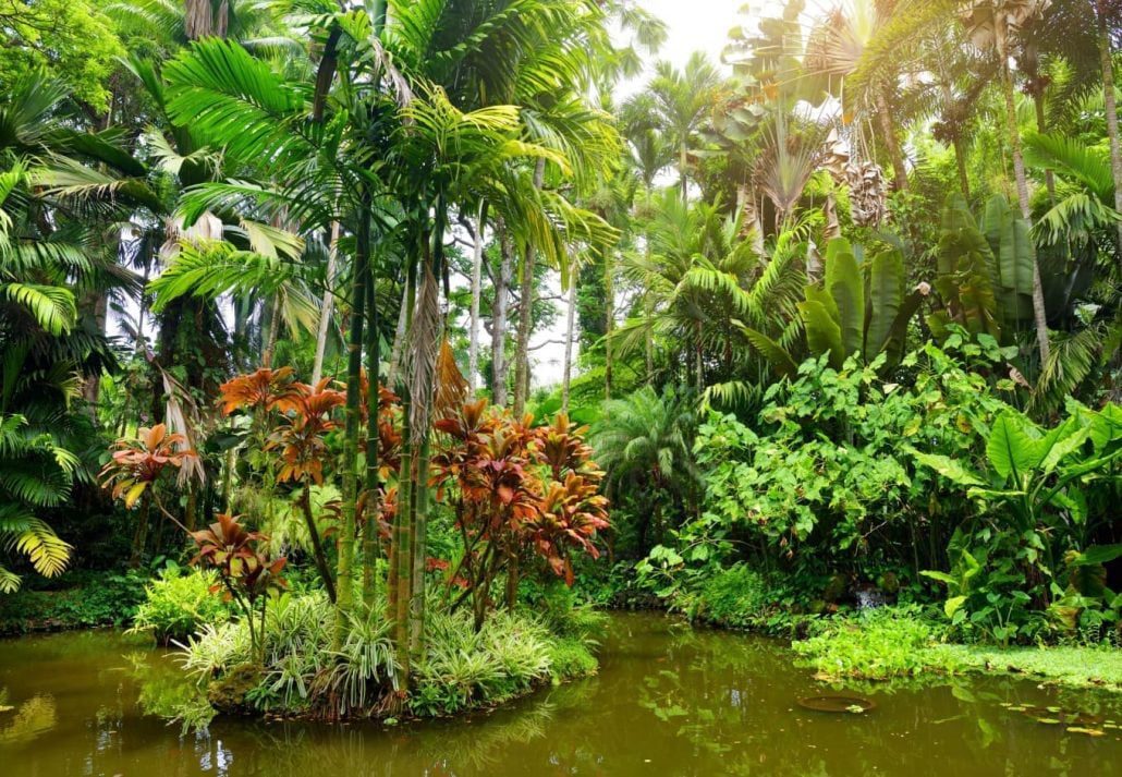 Key West Tropical Forest & Botanical Garden, Key West, Florida.