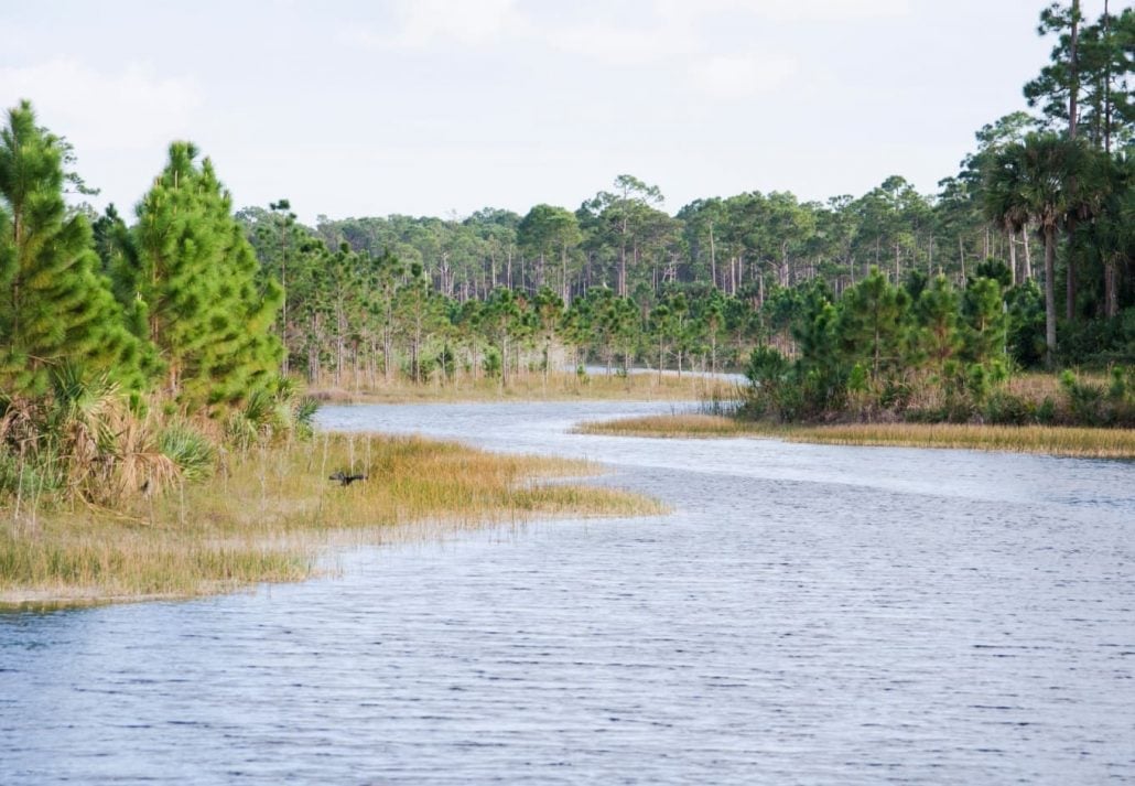 Okeeheelee Park, Florida, USA.