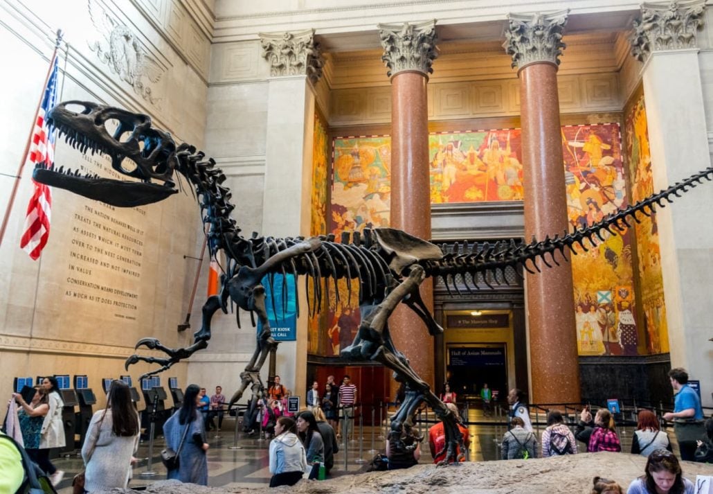 American Museum of Natural History, in NYC.