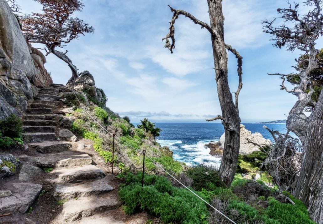 Cypress Grove Trail at Point Lobos State Natural Reserve, in California.