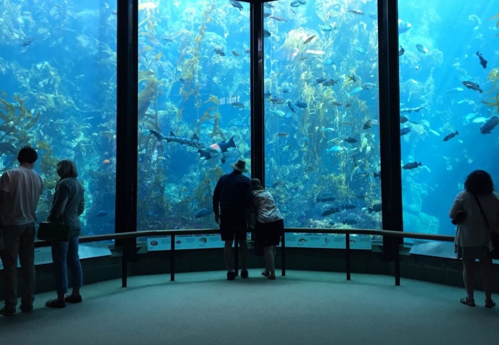 Monterey Bay Aquarium, in Monterey, California.