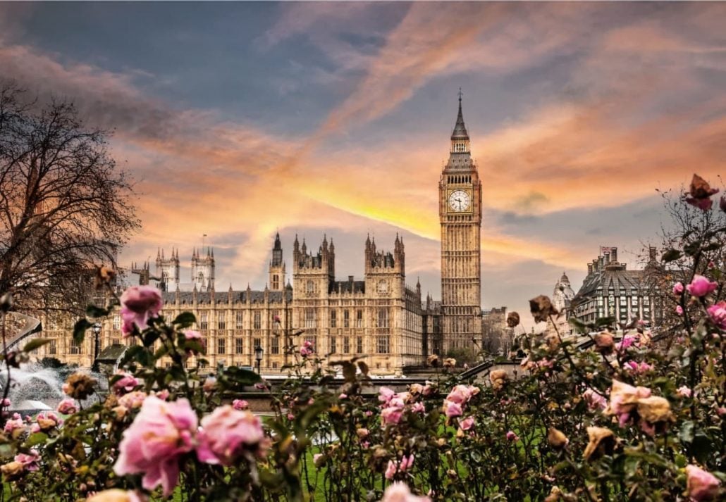 Big Ben, the Palace of Westminster in London, UK. View from a public garden with beautiful roses flowers.
