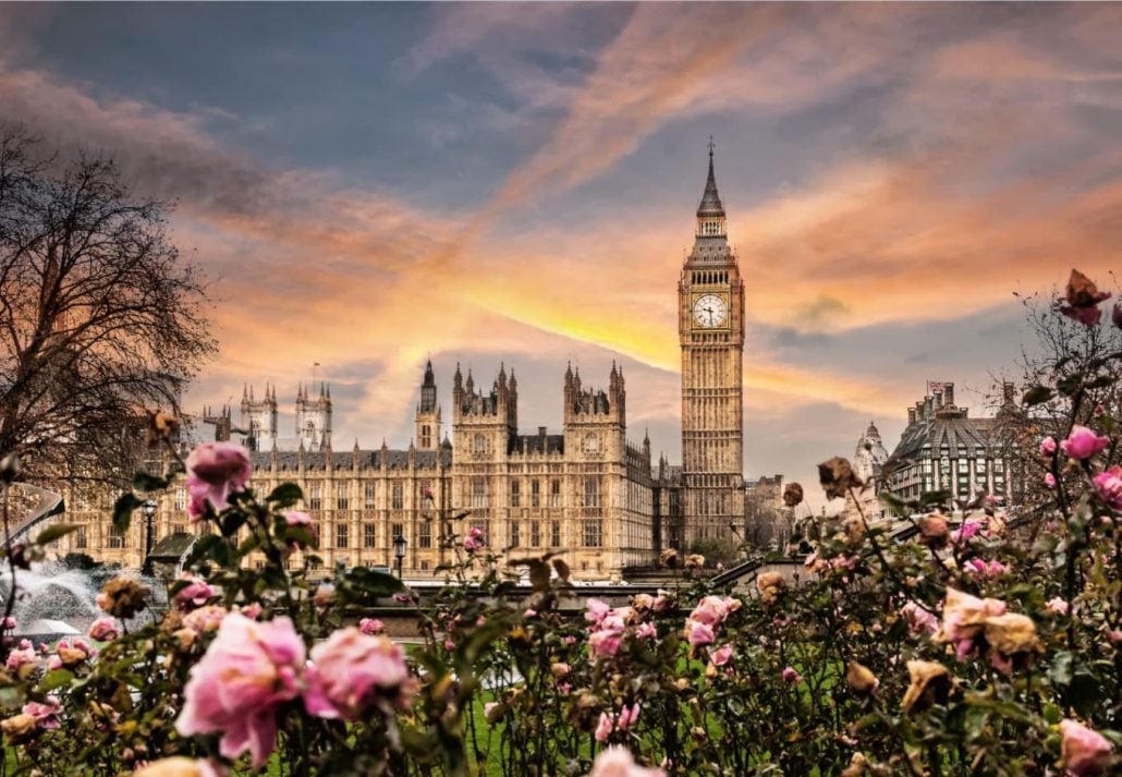 Big Ben, the Palace of Westminster in London, UK. View from a public garden with beautiful roses flowers.