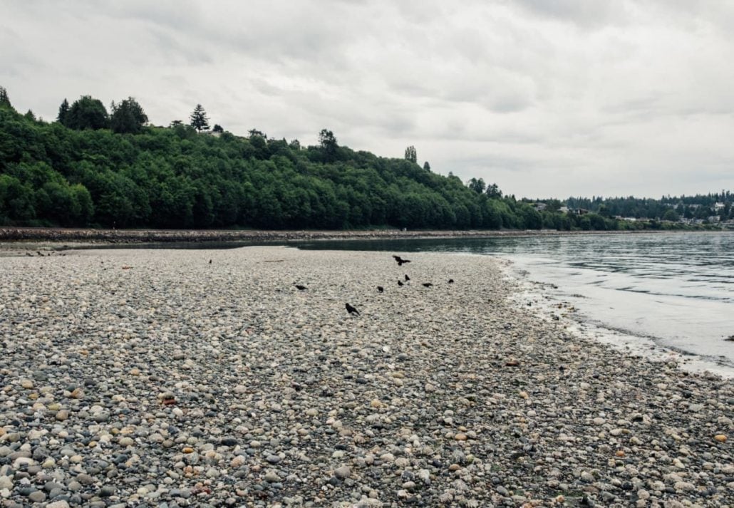 Carkeek Park