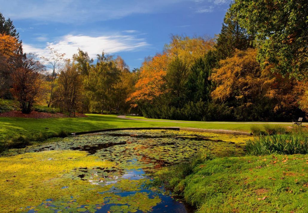 Washington Park Arboretum