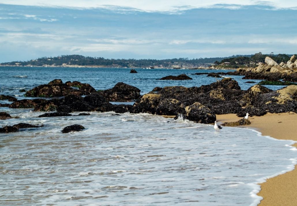 The Carmel River State Beach, in Carmel by the Sea, California.