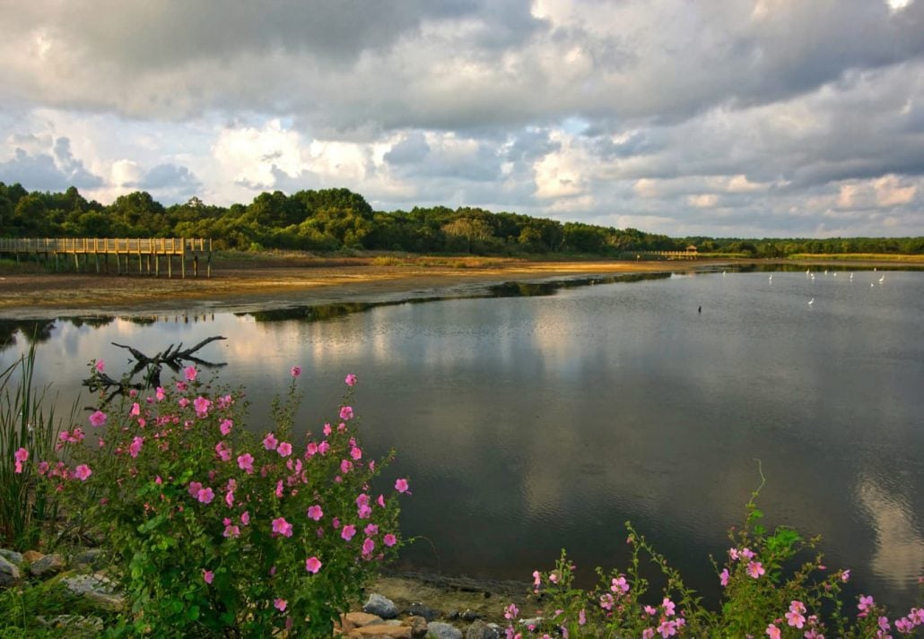 Huntington Beach State Park, Myrtle Beach, South Carolina.