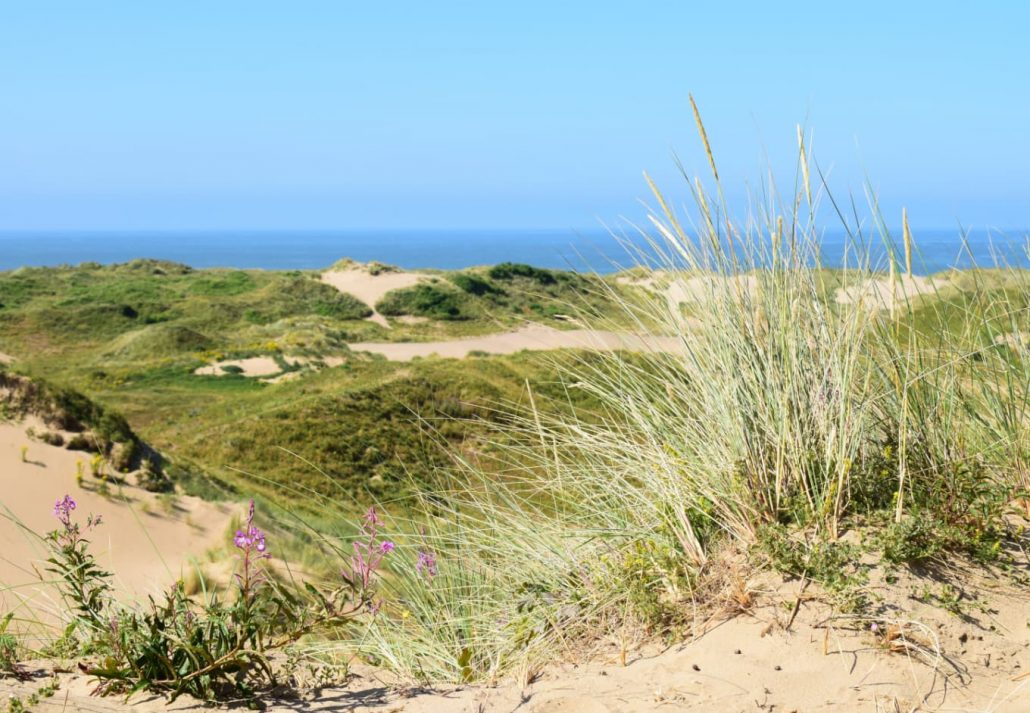 Merthyr Mawr Sand Dunes, Ogmore, Porthcawl, Wales, UK.
