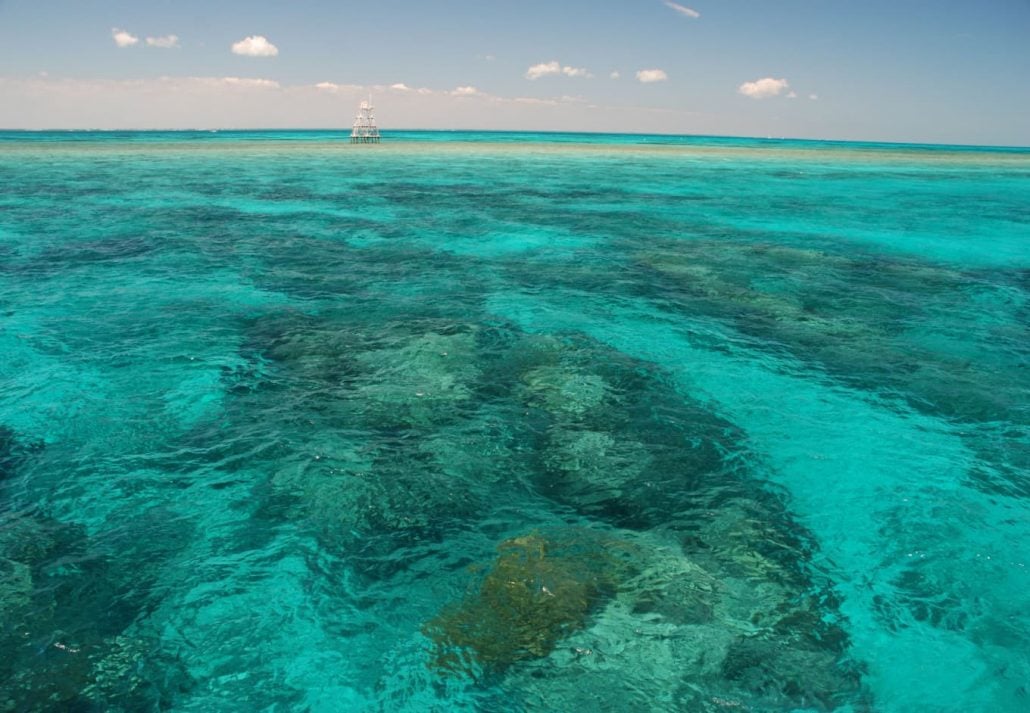 John Pennekamp Coral Reef State Park, Florida Keys.