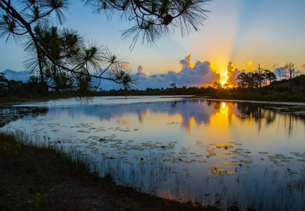 Jonathan Dickinson State Park, Florida, at sunset.