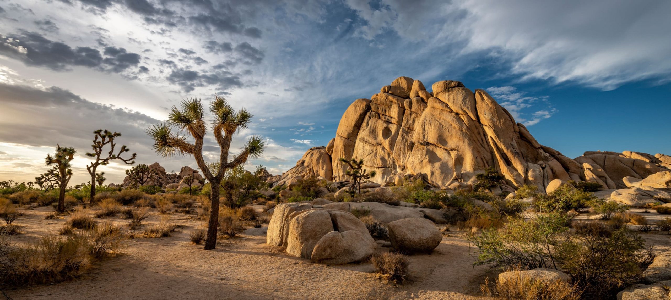 The Ultimate Guide To Visiting the Joshua Tree National Park, California